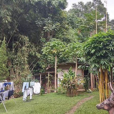 特利尼迪民宿 伦邦 外观 照片