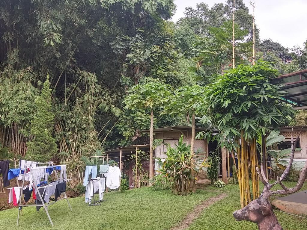 特利尼迪民宿 伦邦 外观 照片